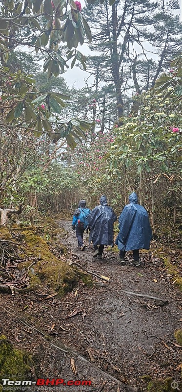 The Iconic Goechala Trek in Sikkim-go-118.jpg