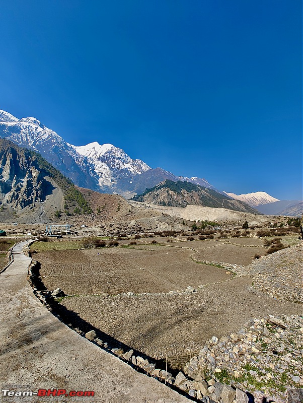 Annapurna Circuit | Solo Trek-annapurna-8-24.jpeg