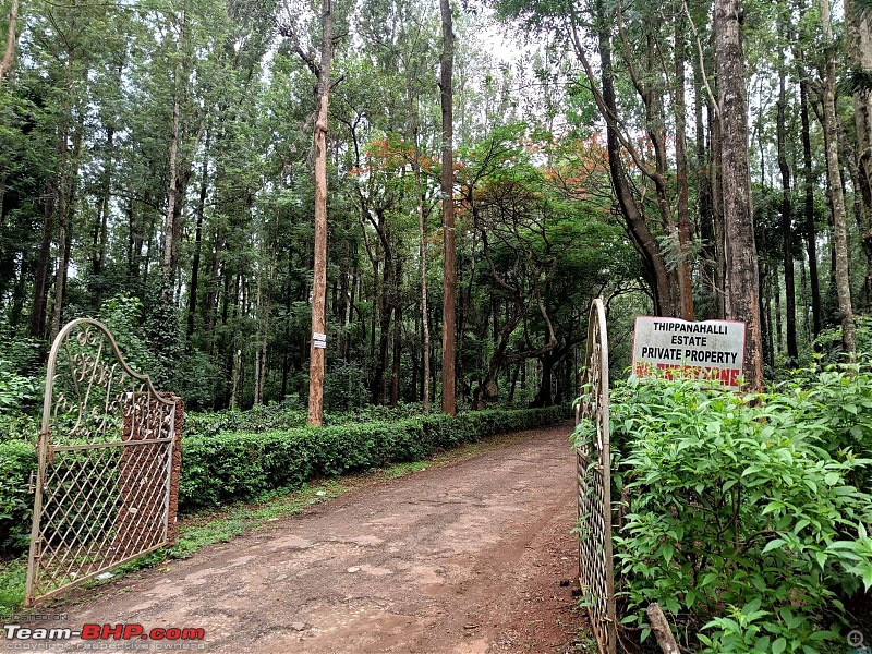Stay at a beautiful homestay in Chikmagalur-entrance-property.jpg