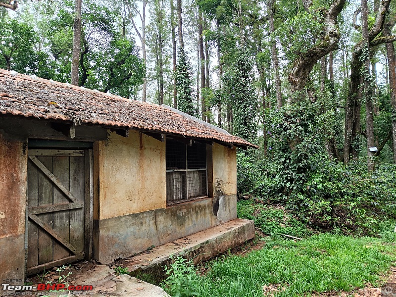 Stay at a beautiful homestay in Chikmagalur-ruins-pathway.jpg