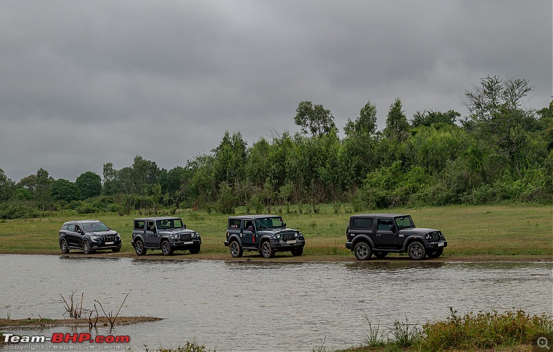 SUVs, a Lake and a Morning Drive-suvonlake33.jpg