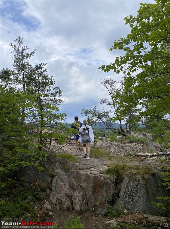 Foraging successful  Killarney Provincial Park-clearing.jpg