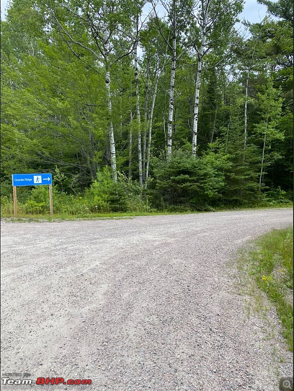 Foraging successful  Killarney Provincial Park-trail-start-1.jpg