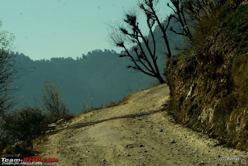 Himachal Pradesh : "The Great Hunt for Snowfall" but found just snow-dsc_0896.jpg