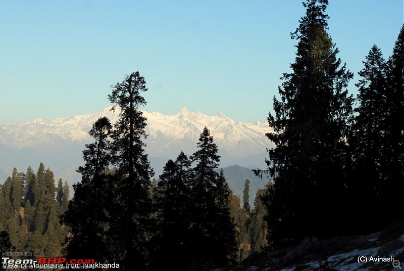 Himachal Pradesh : "The Great Hunt for Snowfall" but found just snow-dsc_0549.jpg