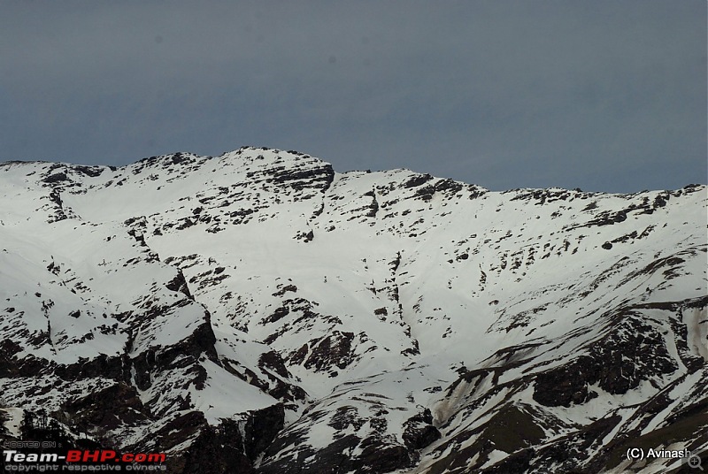 Himachal Pradesh : "The Great Hunt for Snowfall" but found just snow-dsc_1752.jpg