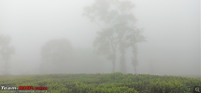 Road Trip to Tea Estate Villa at Nilgiri Mountains in my Tata Safari Storme-walk1.jpg