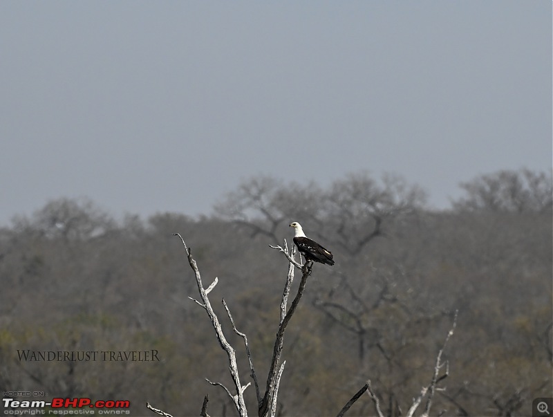 Wanderlust Traveler | South Africa : Cape Town, Johannesburg, Kruger-_suh5011.jpg