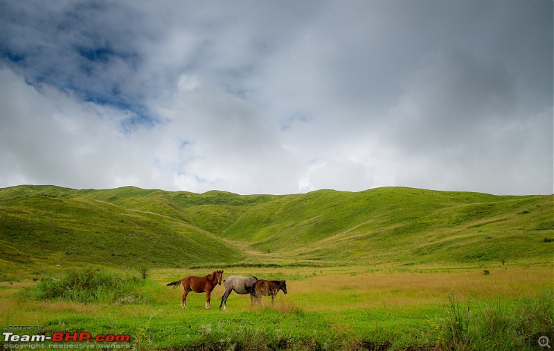 Road Trip to Mechuka, Arunachal Pradesh-dsc_7942.jpg