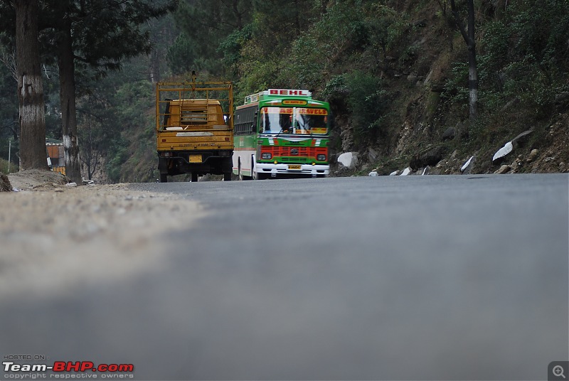 Himachal Pradesh : "The Great Hunt for Snowfall" but found just snow-dsc_1366.jpg