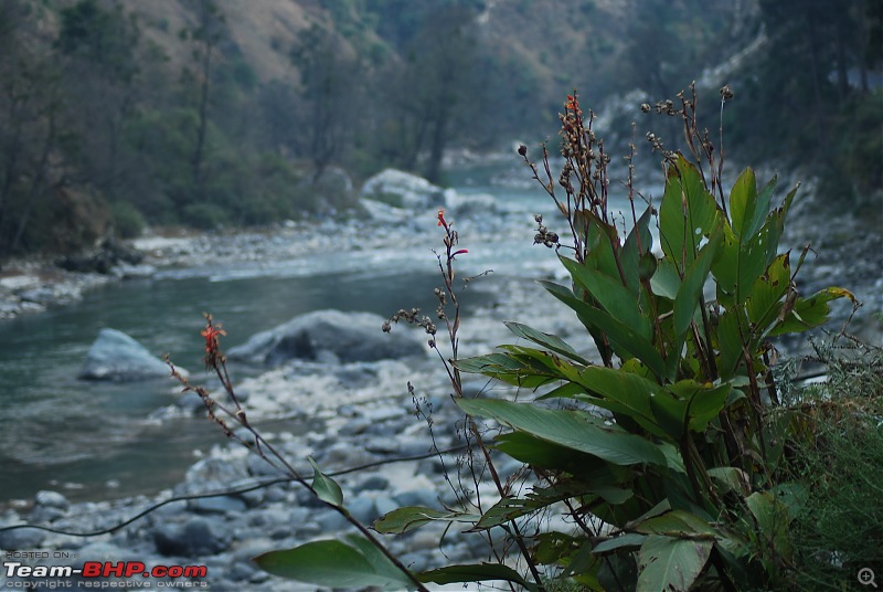 Himachal Pradesh : "The Great Hunt for Snowfall" but found just snow-dsc_1383.jpg