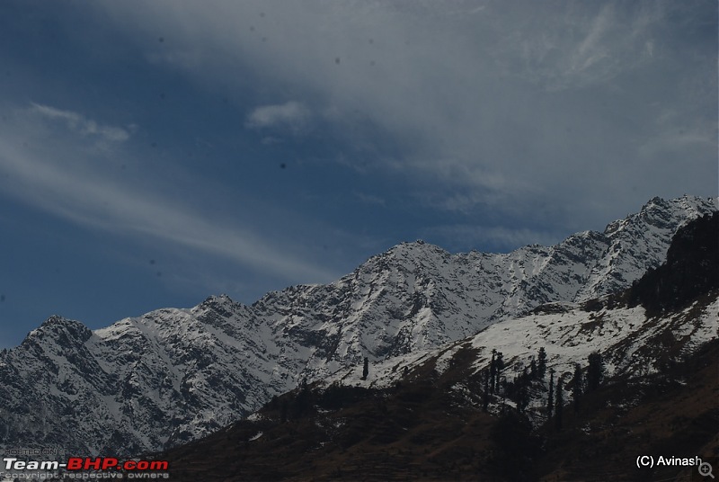 Himachal Pradesh : "The Great Hunt for Snowfall" but found just snow-dsc_1705.jpg