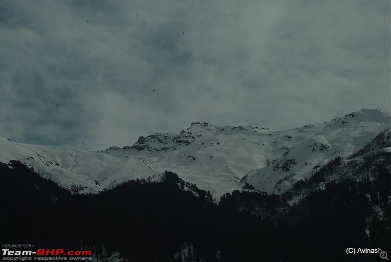 Himachal Pradesh : "The Great Hunt for Snowfall" but found just snow-dsc_1708.jpg