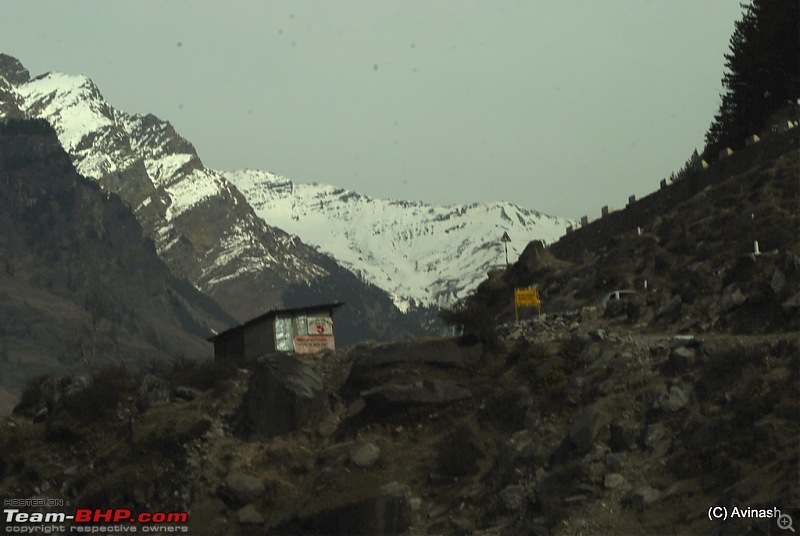 Himachal Pradesh : "The Great Hunt for Snowfall" but found just snow-dsc_1702.jpg