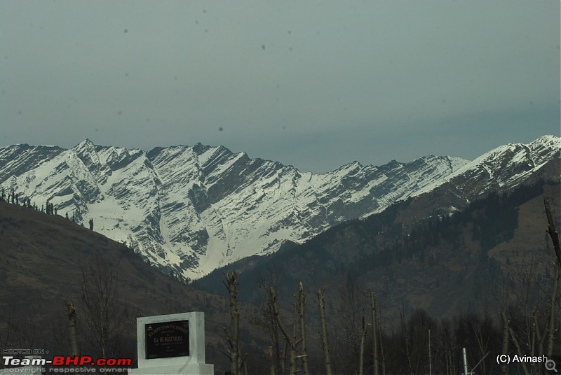 Himachal Pradesh : "The Great Hunt for Snowfall" but found just snow-dsc_1700.jpg