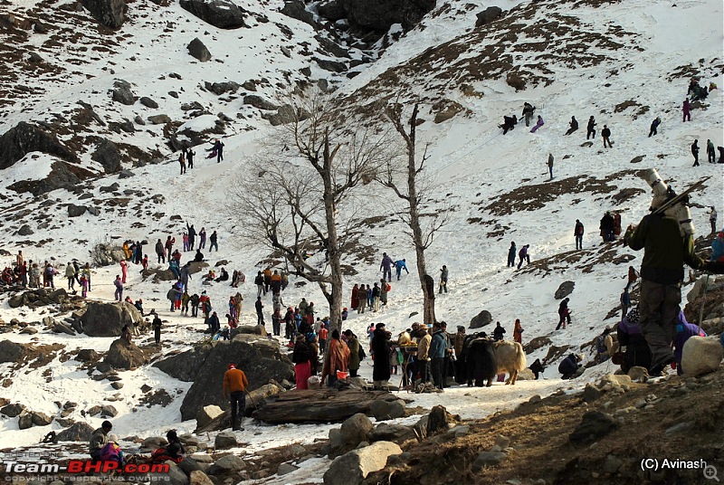 Himachal Pradesh : "The Great Hunt for Snowfall" but found just snow-dsc_1718.jpg
