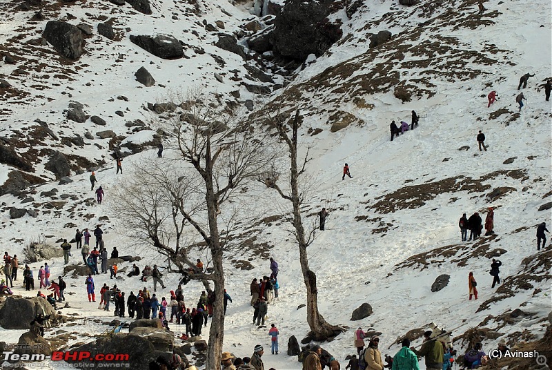 Himachal Pradesh : "The Great Hunt for Snowfall" but found just snow-dsc_1720.jpg