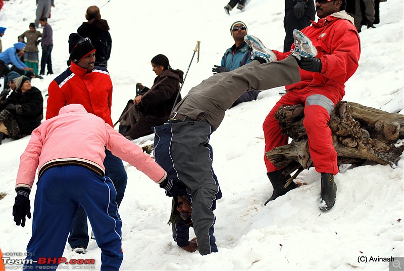 Himachal Pradesh : "The Great Hunt for Snowfall" but found just snow-dsc_1741.jpg