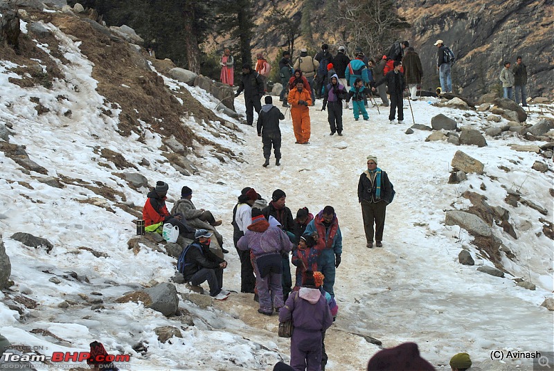Himachal Pradesh : "The Great Hunt for Snowfall" but found just snow-dsc_1751.jpg