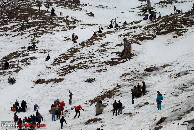 Himachal Pradesh : "The Great Hunt for Snowfall" but found just snow-dsc_1777.jpg