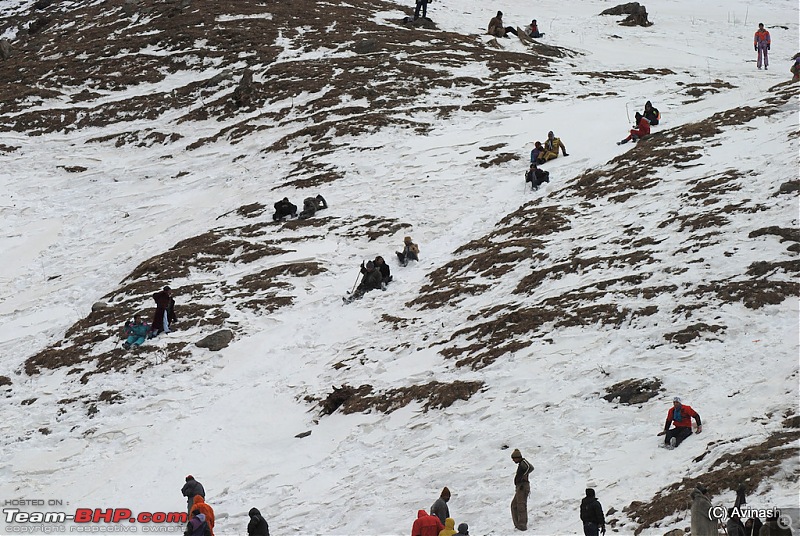 Himachal Pradesh : "The Great Hunt for Snowfall" but found just snow-dsc_1778.jpg