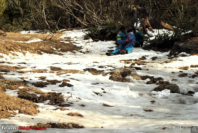 Himachal Pradesh : "The Great Hunt for Snowfall" but found just snow-dsc_1832.jpg