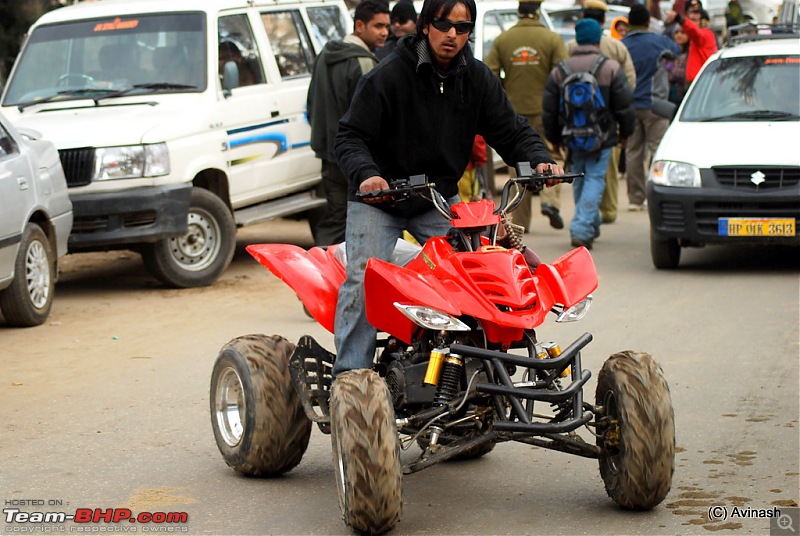 Himachal Pradesh : "The Great Hunt for Snowfall" but found just snow-dsc_1949.jpg