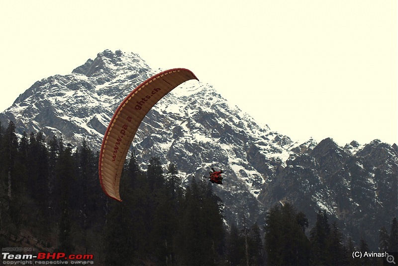 Himachal Pradesh : "The Great Hunt for Snowfall" but found just snow-dsc_1963.jpg