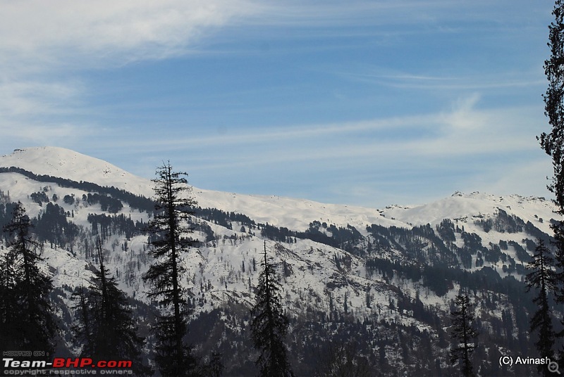 Himachal Pradesh : "The Great Hunt for Snowfall" but found just snow-dsc_1975.jpg