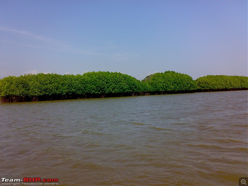 A journey to the world's second largest mangrove forest.-pichavaram5.jpg