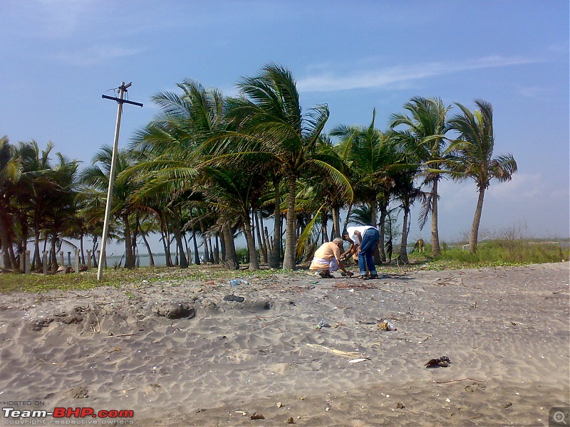 A journey to the world's second largest mangrove forest.-pichavaram10.jpg