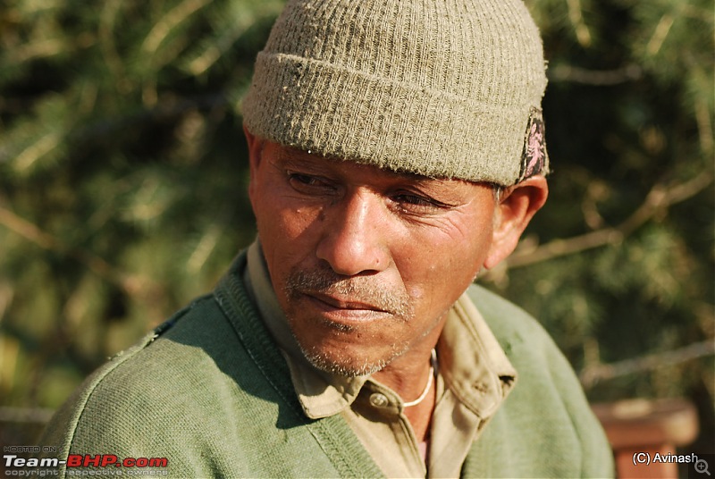 Himachal Pradesh : "The Great Hunt for Snowfall" but found just snow-dsc_2175.jpg