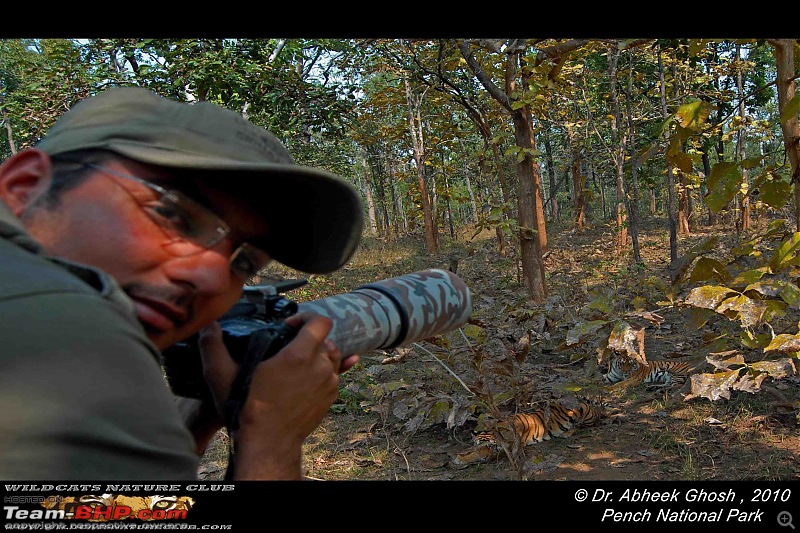 Tadoba, Pench forests, wildlife and 4 tigers!-photographer-cubs.jpg