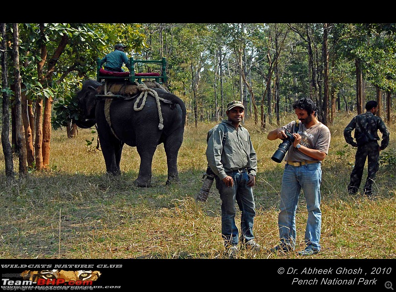 Tadoba, Pench forests, wildlife and 4 tigers!-zahir-me.jpg