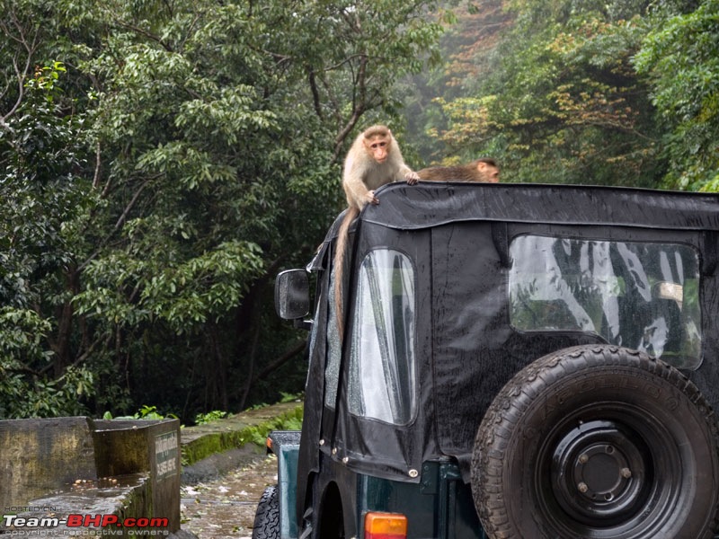 Cooling system testing in Agumbe Ghats-p8031347.jpg