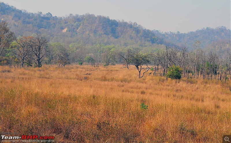 Gurgaon - Jim Corbett - Ranikhet - Gurgaon: The Unsatiated Quest-2235.jpg