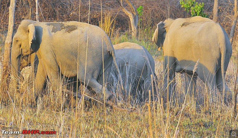 Gurgaon - Jim Corbett - Ranikhet - Gurgaon: The Unsatiated Quest-2368.jpg