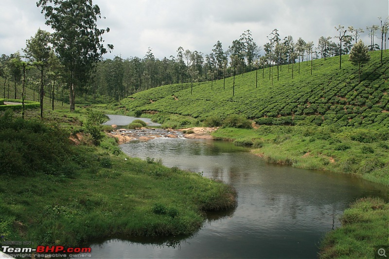 A trip out of Real estate to TEA ESTATE - Our Valparai vacation-41c.jpg