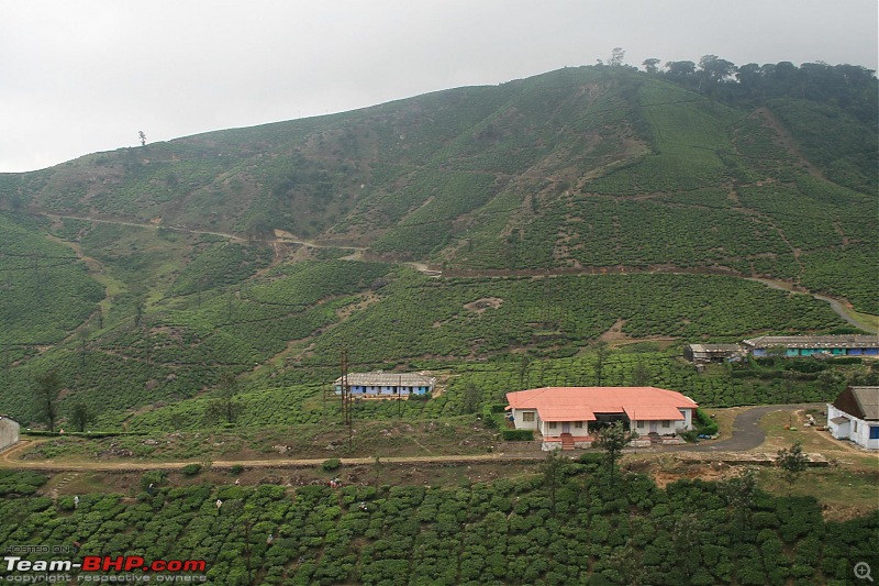 A trip out of Real estate to TEA ESTATE - Our Valparai vacation-42c.jpg