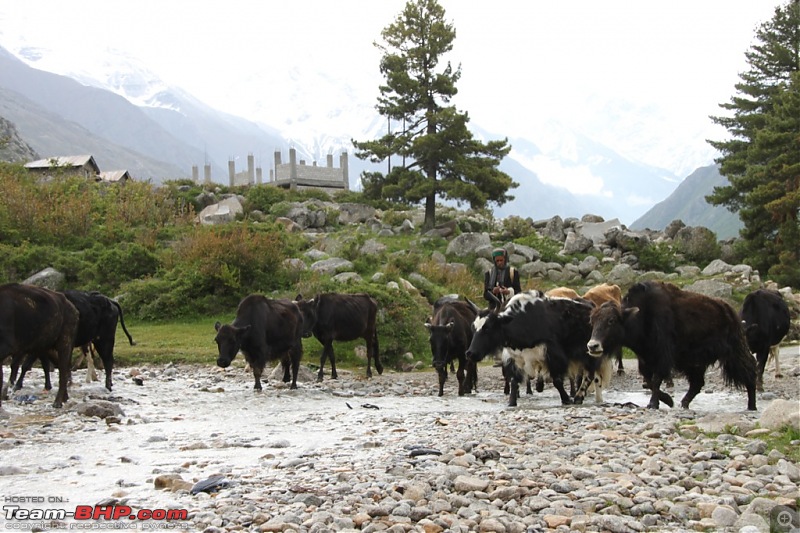 Kalpa-Chitkul-Sarahan, June 2010-20100616073350_0369.jpg