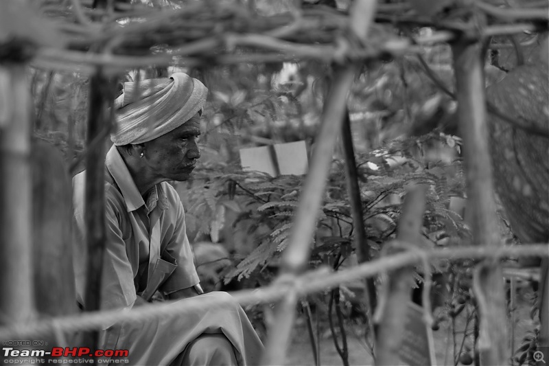 Lalbaugh Flower Show: A Small Photologue-old-man.jpg