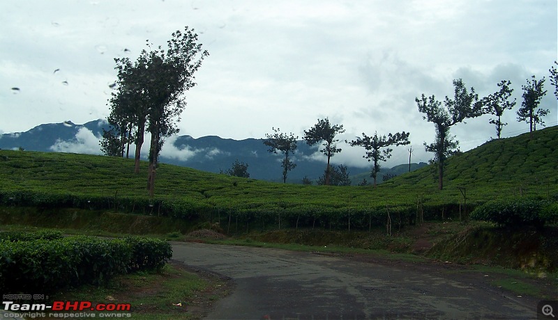 God's own state - Wayanad-100_4759.jpg