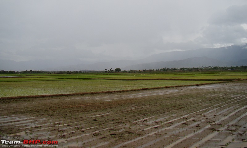 Rustic Tamilnadu - Shenkottai-Thenkasi-Kalladakurichi-Ambasamudram-Kalakkad-dsc06323.jpg