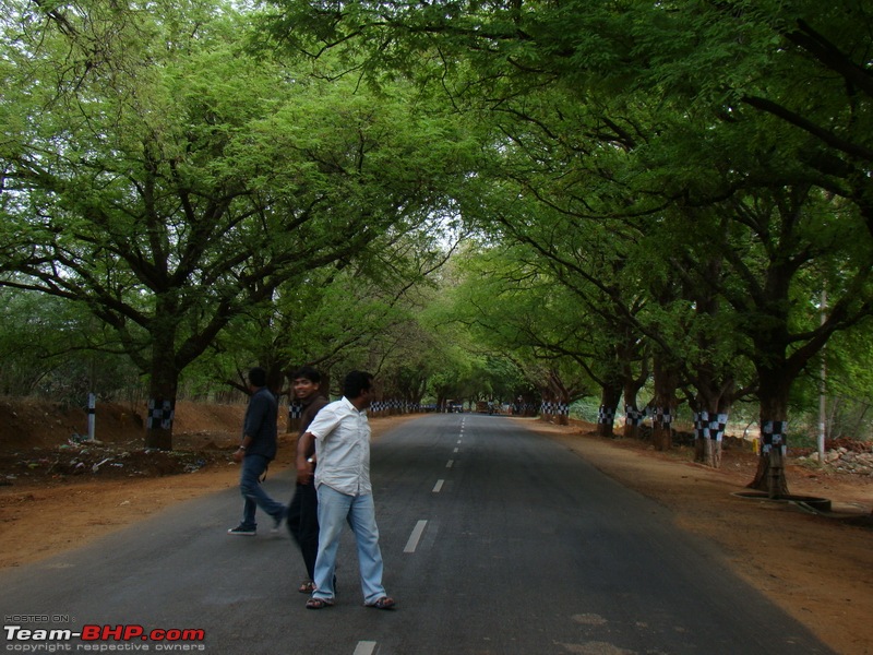 Rustic Tamilnadu - Shenkottai-Thenkasi-Kalladakurichi-Ambasamudram-Kalakkad-dsc06350.jpg