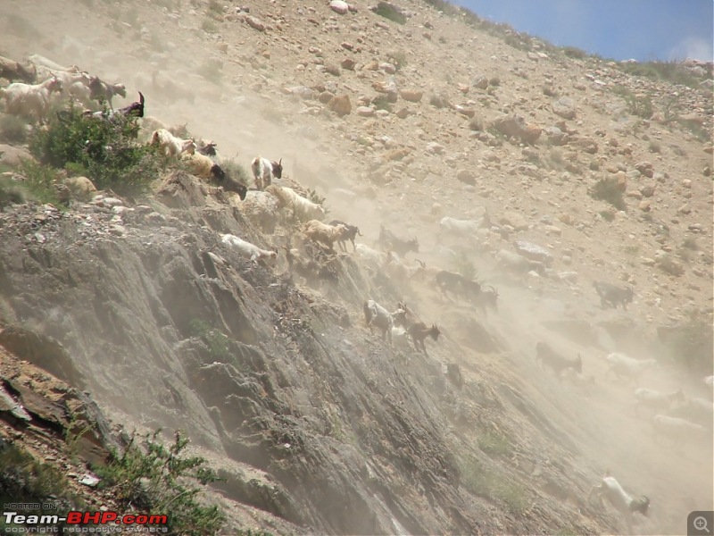 Rohtang Didn't Let me Pass; Spiti & Chandratal It Was!-0043.jpg