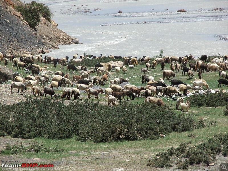 Rohtang Didn't Let me Pass; Spiti & Chandratal It Was!-0047.jpg