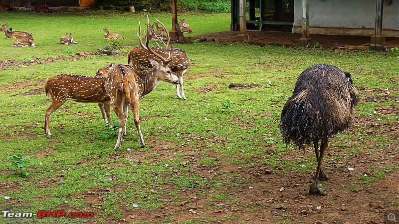 Recce into Maharashtra in Swift D!!!-p1030168.jpg