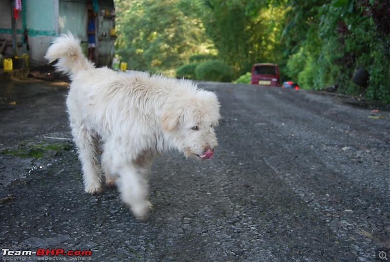 Mhawk goes from Vihar, tulsi lake (Mumbai) to Gurdongmar lake (Sikkim)-dsc_0207.jpg