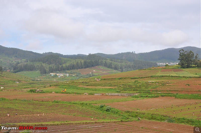 4 days in Ooty  drive from Chennai-dsc_0497.jpg