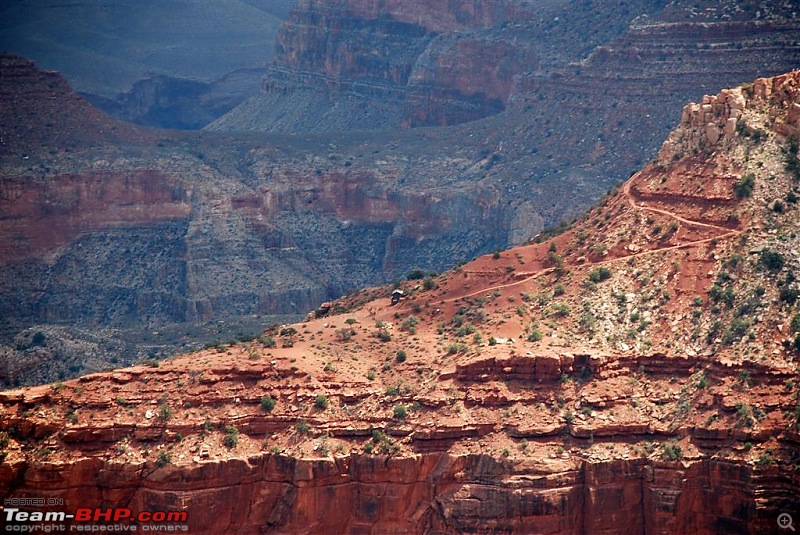 210 Horses around a River - The GRAND Canyon-dsc_0176-large.jpg